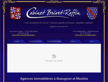 Tablet Screenshot of cabinetbrivet-raffin.fr